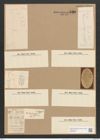 Amphora membranacea W. Sm. (de-Toni-Nr.: Genus 36, Species 1507) Zeichnungen Sammlung Grunow Nr. 2926 (NHMW-BOT-W0370270)